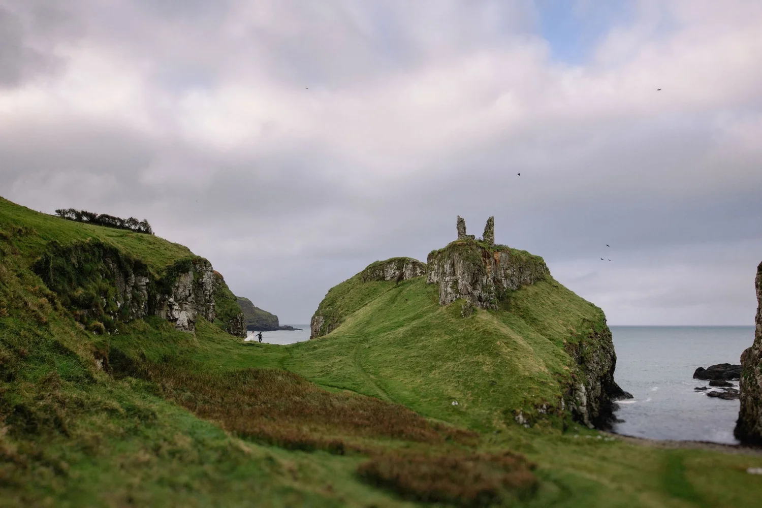 Green grassy cliffs with ruins on top, overlooking a beach and ocean, cloudy sky with a few birds flying.