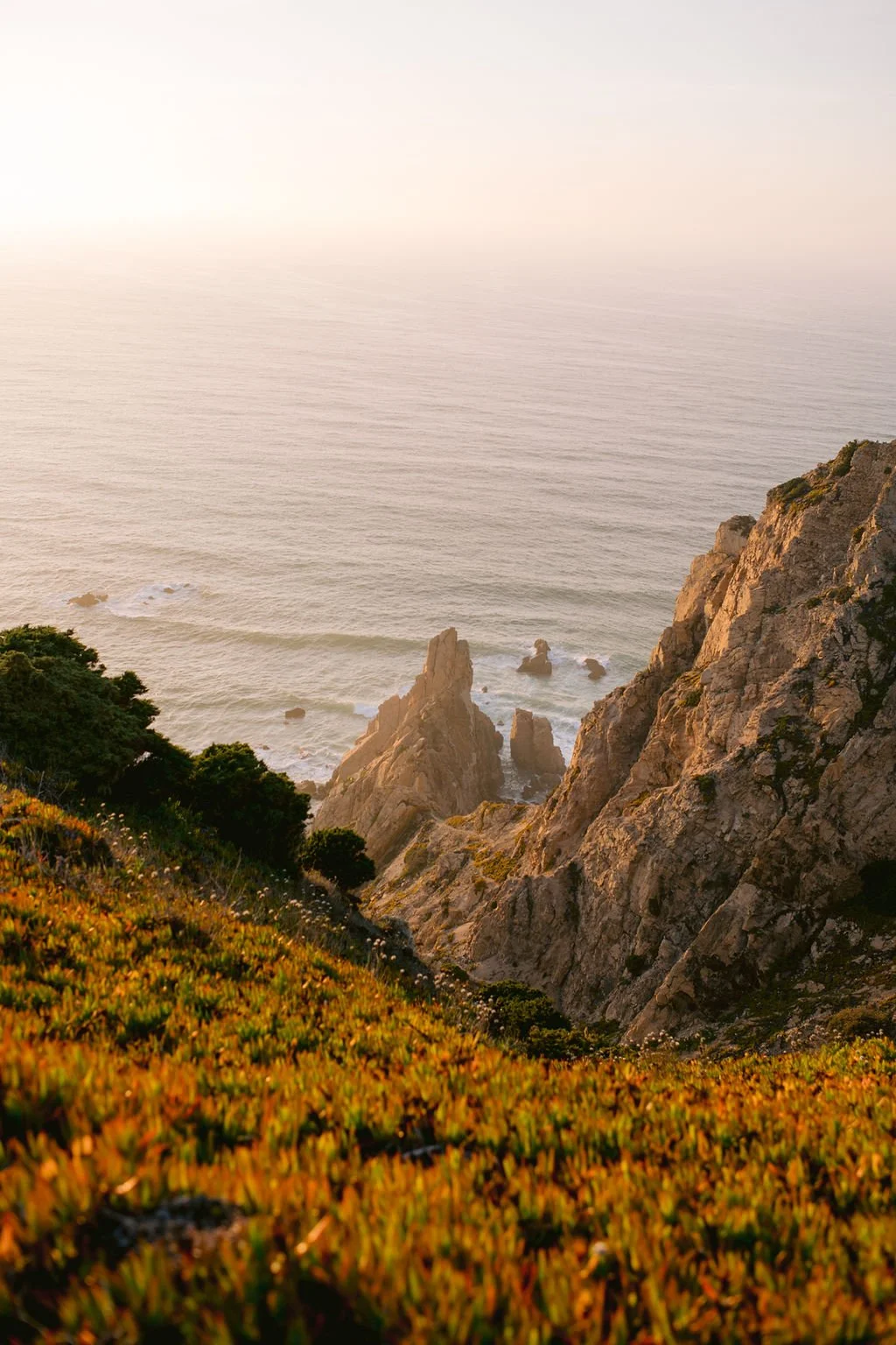 Coastal cliffs with rugged rocks and green vegetation, overlooking the ocean at sunset.