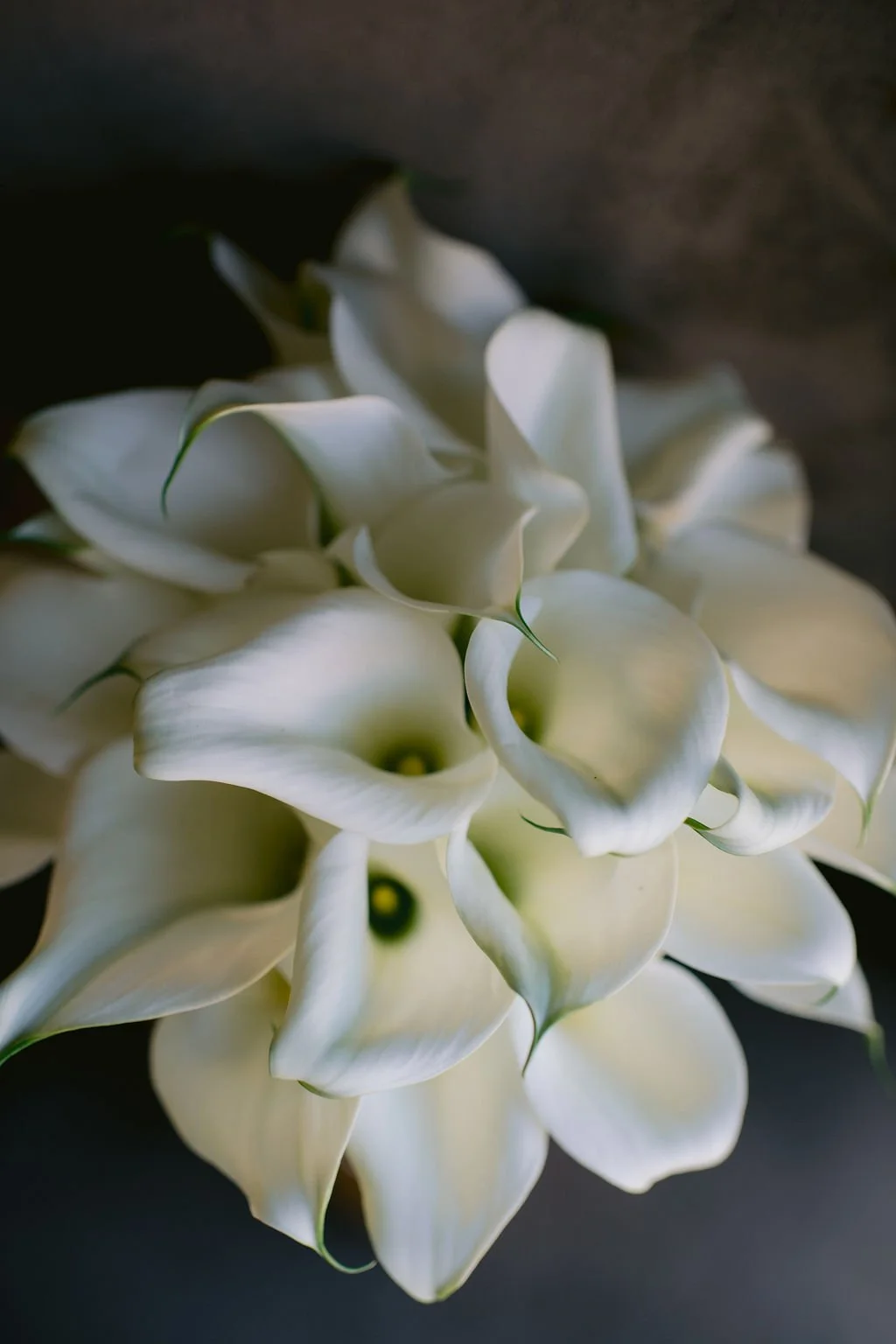 Close-up of a bouquet of white calla lilies against a dark background.