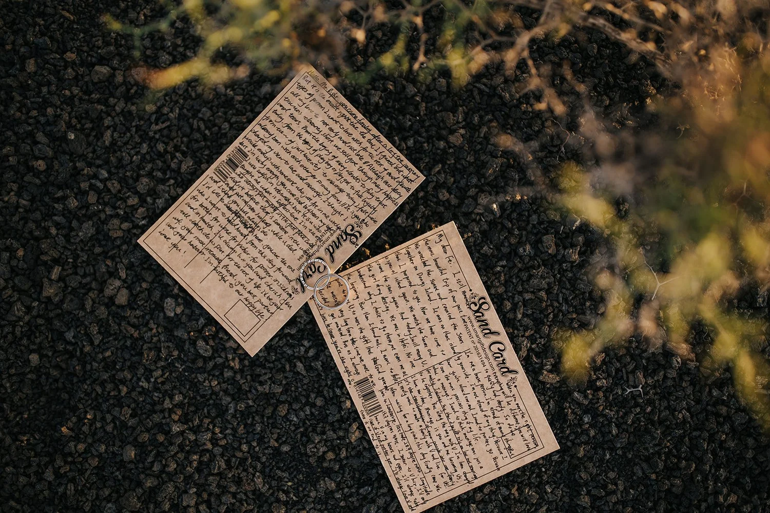Elopement_Feifei_26Hao00250.jpg