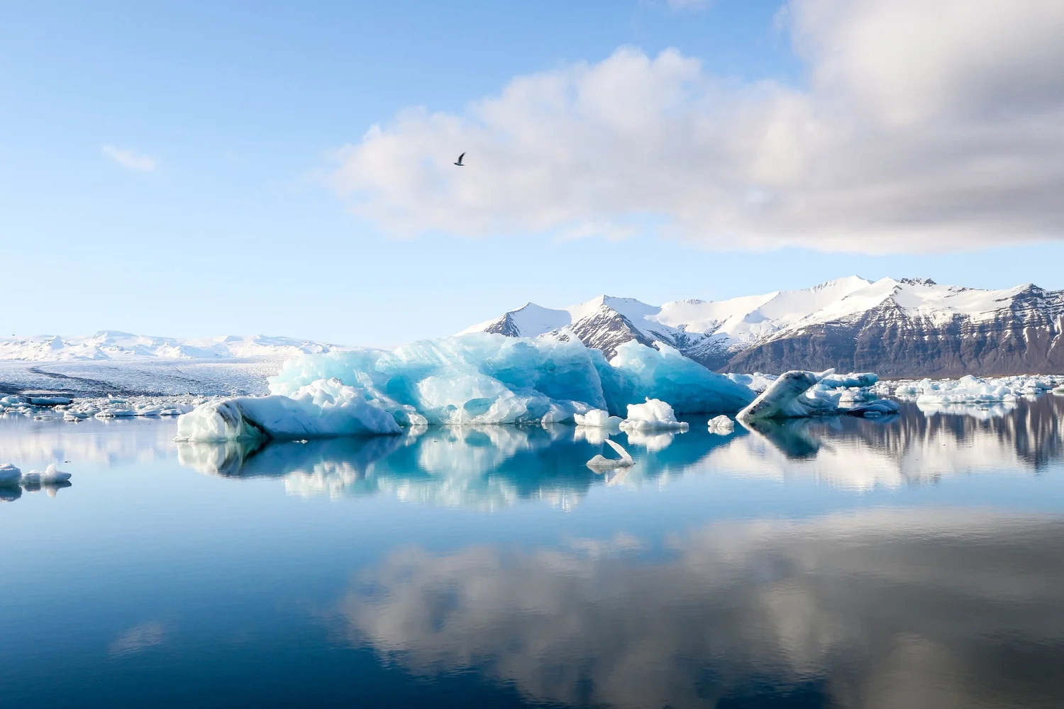 Icebergs floating on calm water with snow-covered mountains in the background under a partly cloudy sky, and a bird flying overhead.