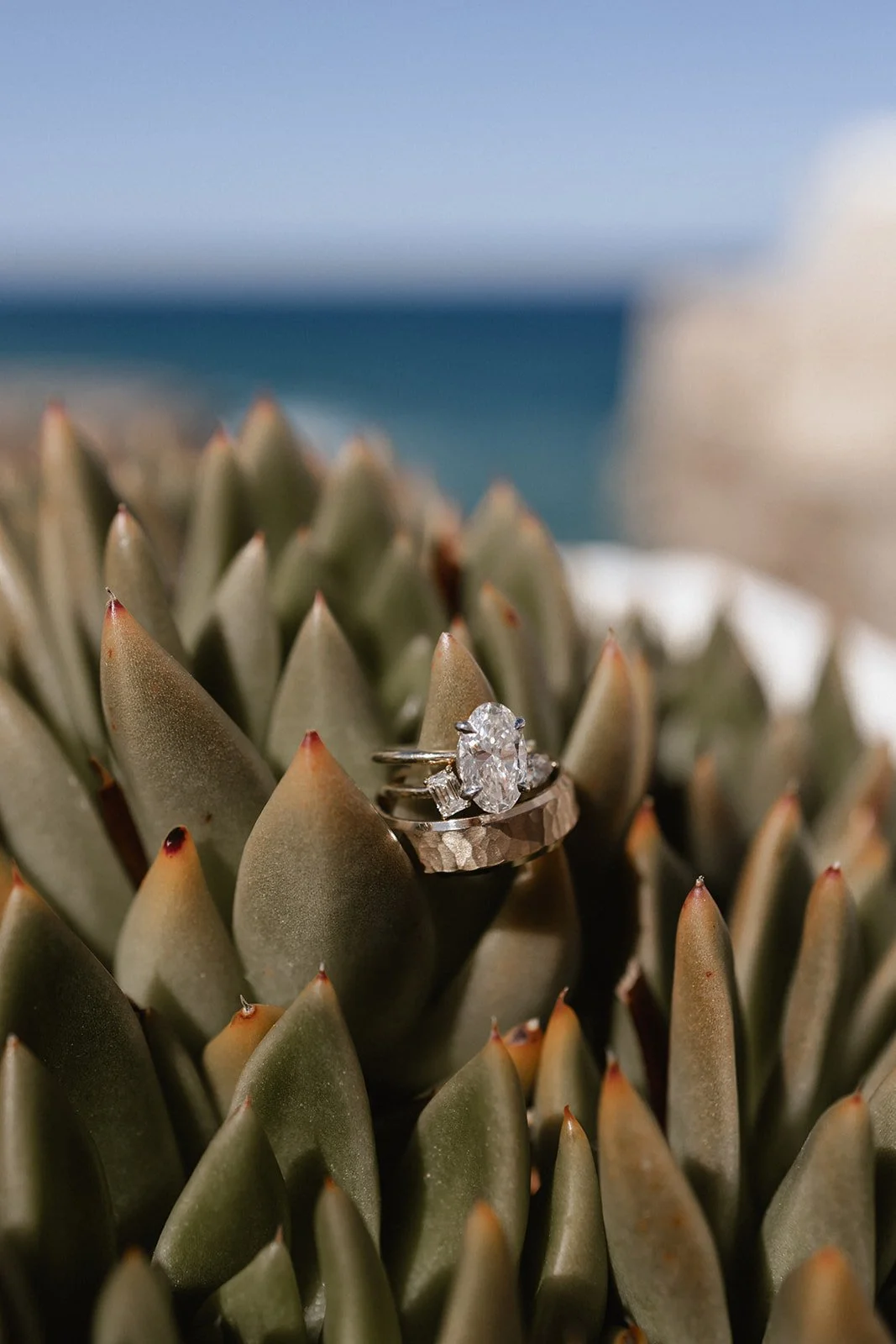 A close-up image of an engagement ring with a prominent oval diamond, set on a textured metal band, placed on a spiky succulent plant with a blurred background.