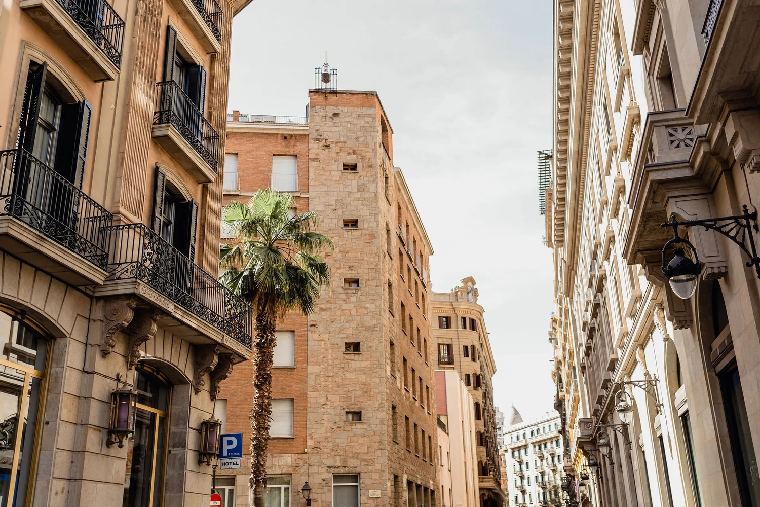 View of a city street lined with multi-story buildings with balconies and ornate architecture, a palm tree in the foreground, and a cloudy sky.