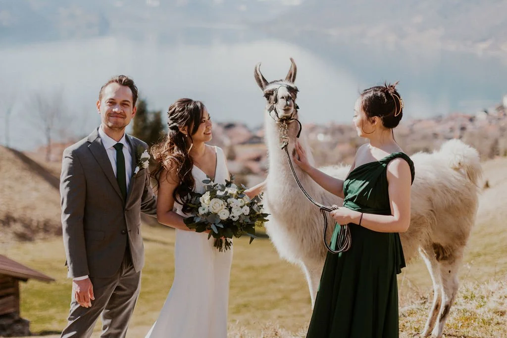 A wedding scene outdoors with two people in formal attire, a man in a suit and tie, and a woman in a white dress holding a bouquet, along with another woman in a dark green dress holding a llama by its reins, with scenic hills and a lake in the backg