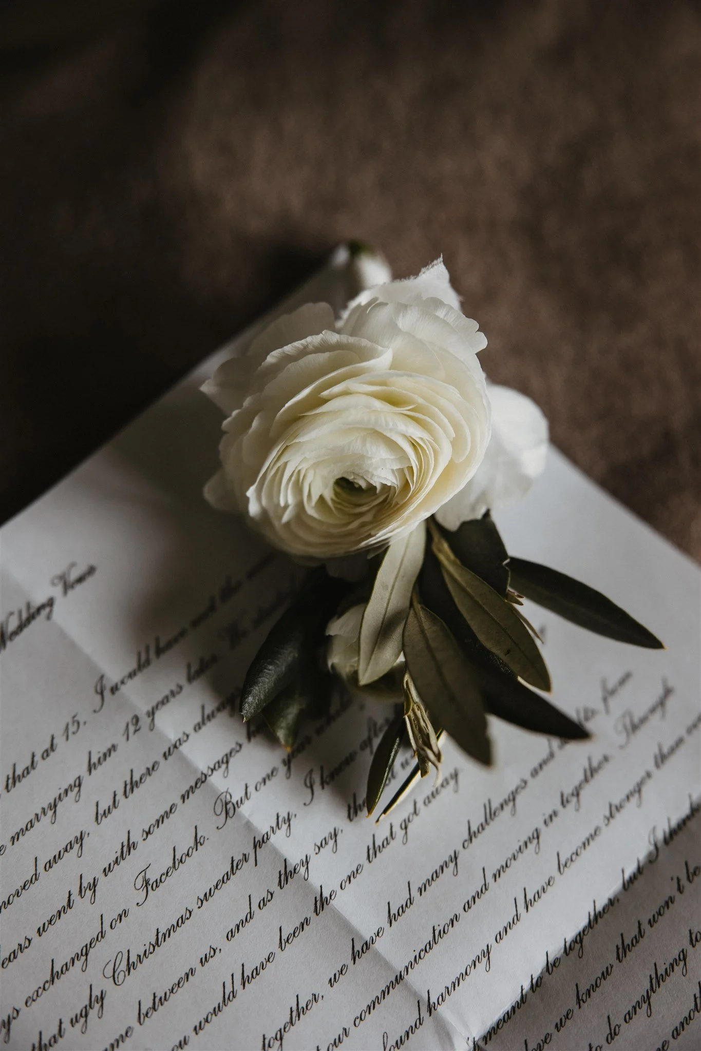 A white ranunculus flower with dark green leaves, placed on a handwritten letter or note.