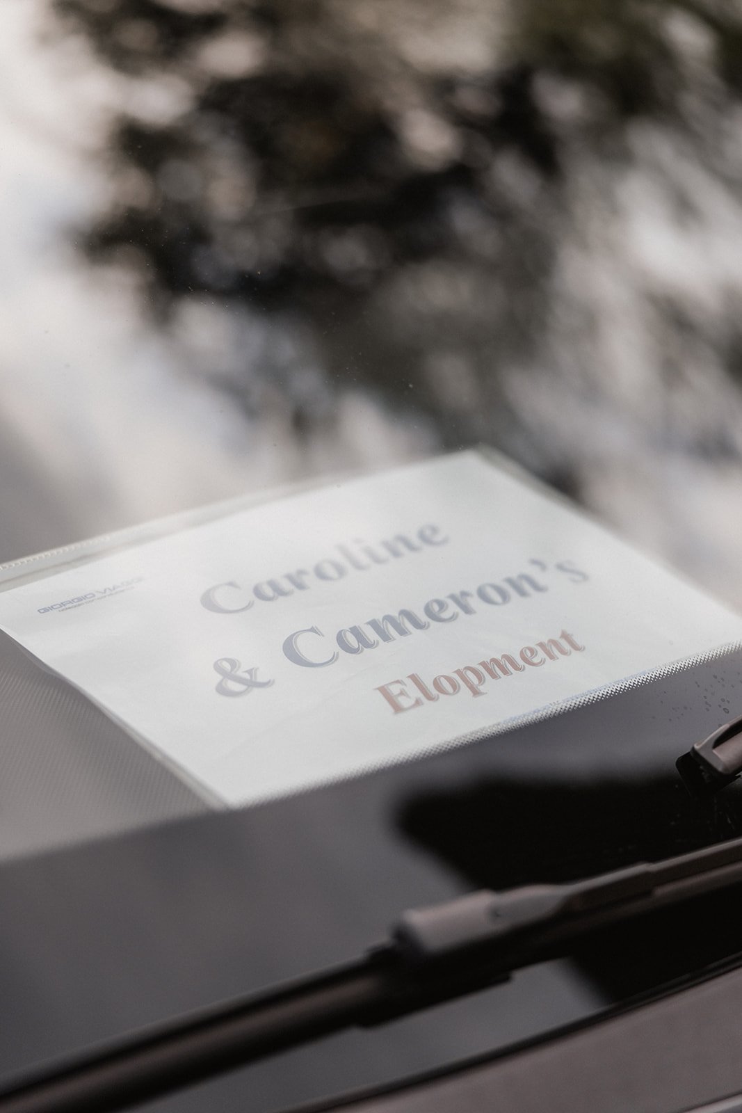 Caroline _26 Cameron-132.jpg