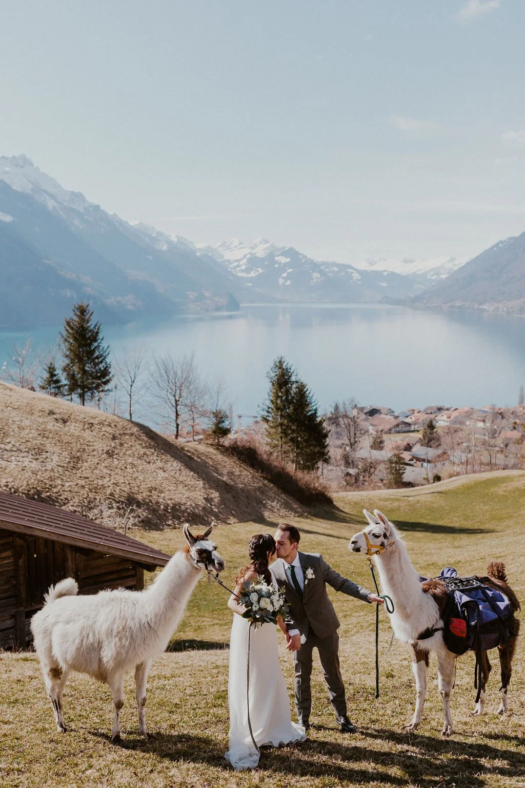 A wedding couple kissing in a scenic outdoor setting with llamas, mountains, a lake, and a small village in the background.