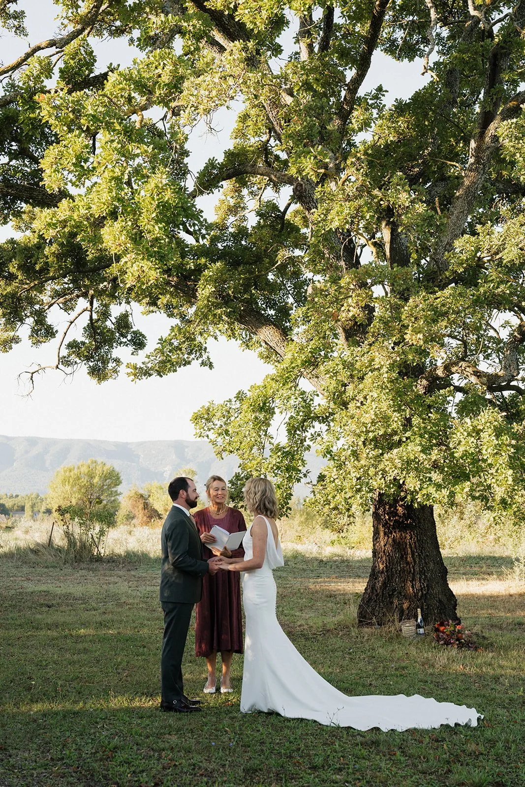 A wedding ceremony outdoors under a large leafy tree, with a couple holding hands, facing each other, and a officiant standing between them, all on grass with mountains and trees in the background.