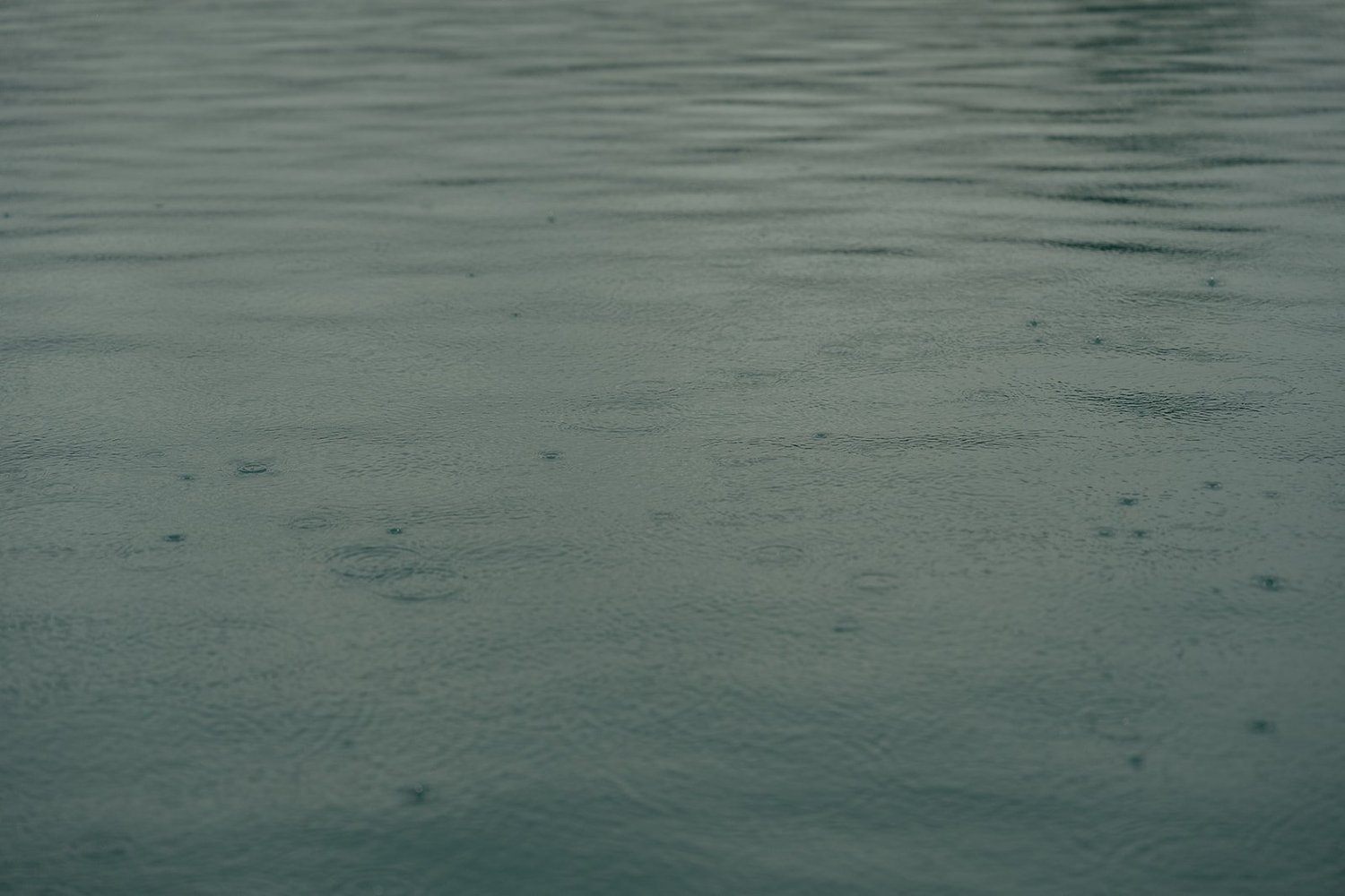 JenaLuke_Lake_Bled_elopement (296).jpg