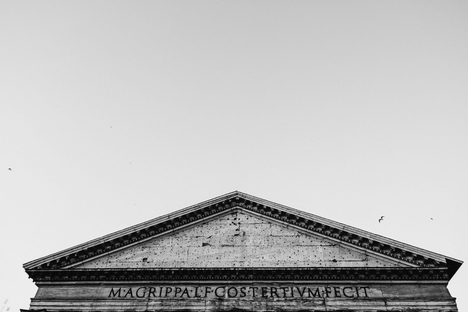 005__ED_2056.jpg