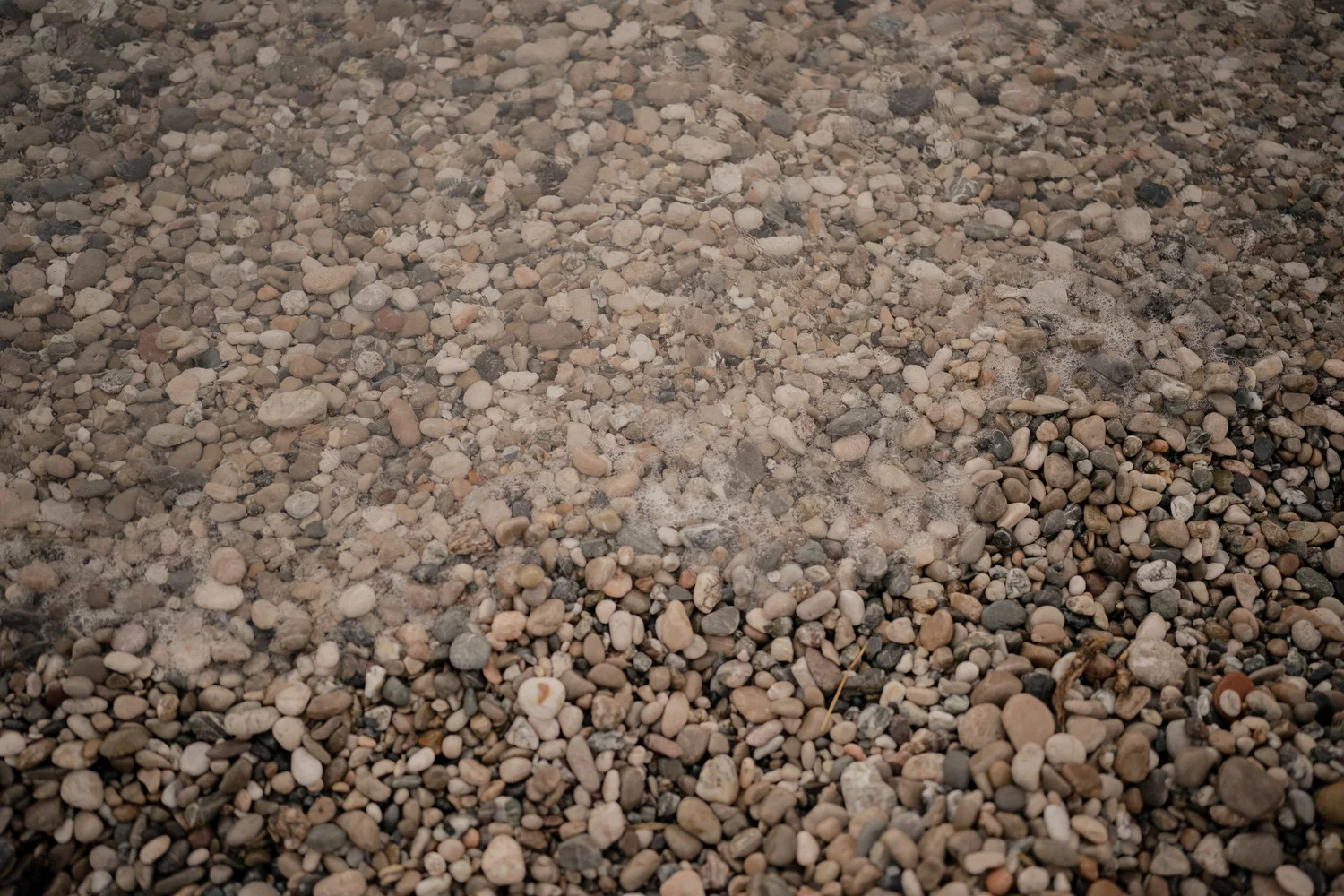 DSC05820.jpg