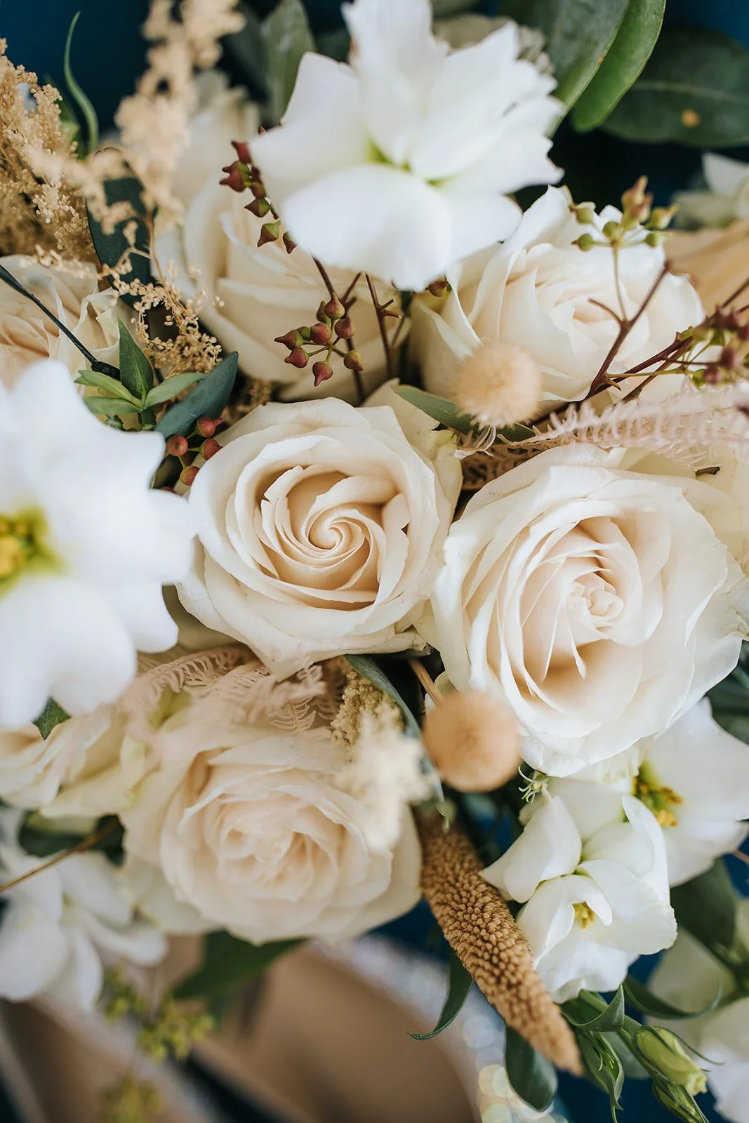 Elopement_Ashley_26Colin00009.jpg
