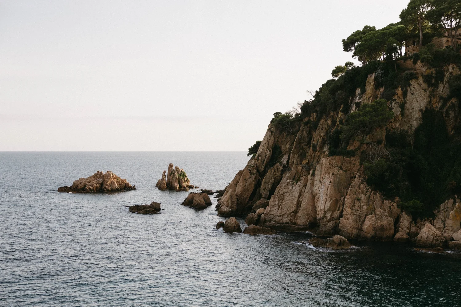 A rocky coastline with steep cliffs covered in green trees, overlooking the ocean on a cloudy day.