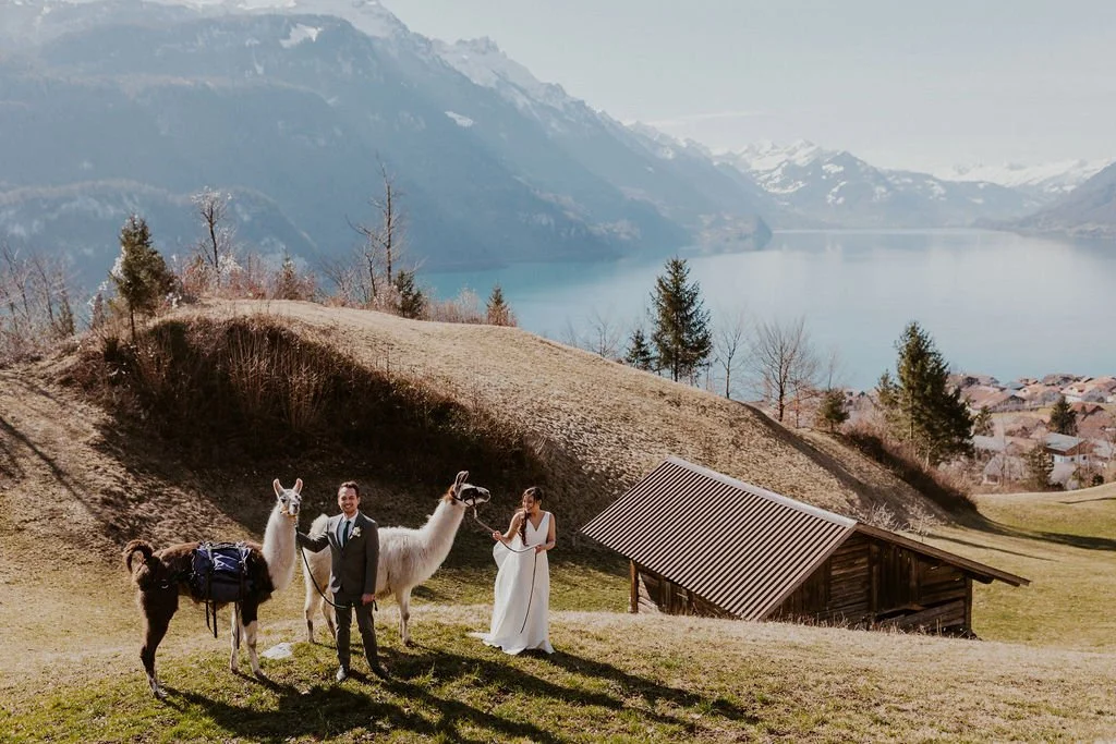 A wedding couple standing with two llamas on a hillside overlooking a lake and mountains.