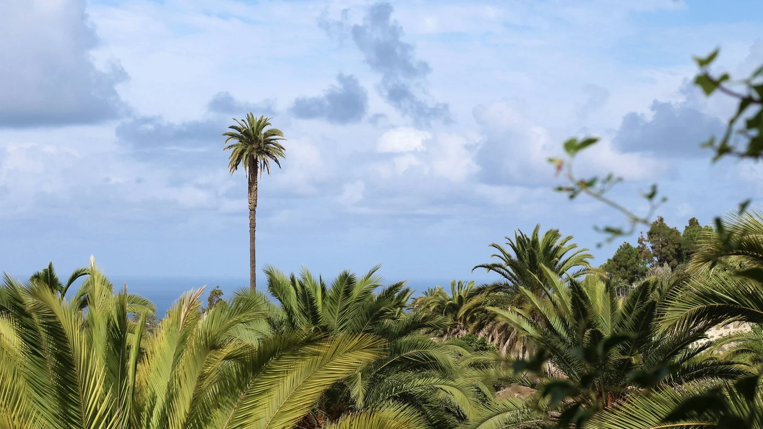 elope in the canary islands, spain