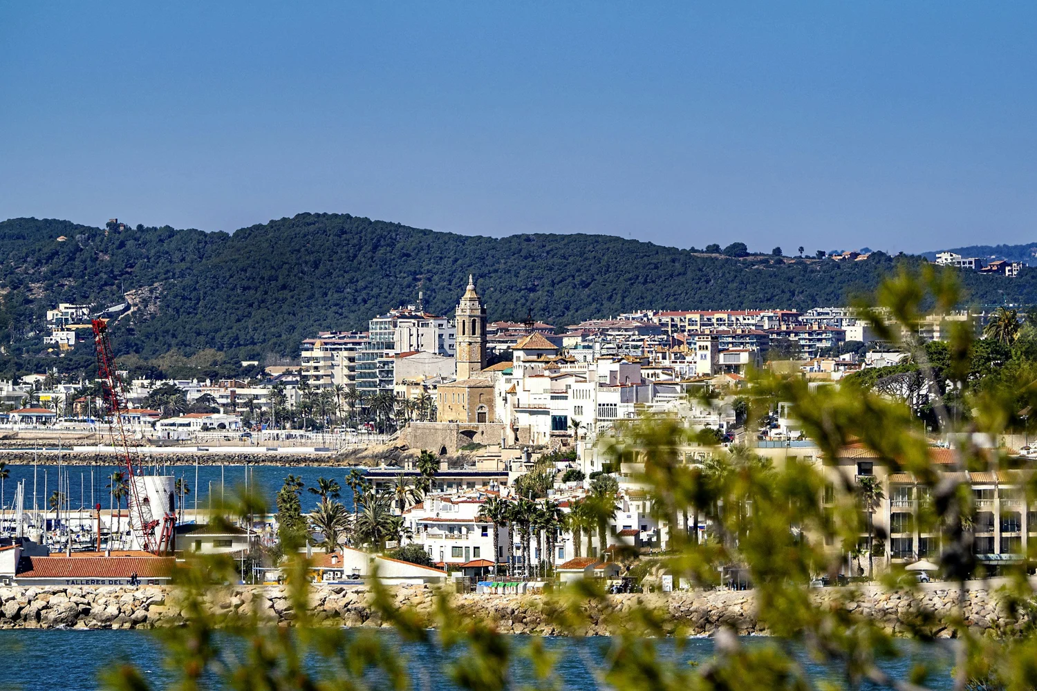 A cityscape view of a coastal town with a prominent church tower, surrounded by modern buildings, green hills in the background, and a marina with boats in the foreground.