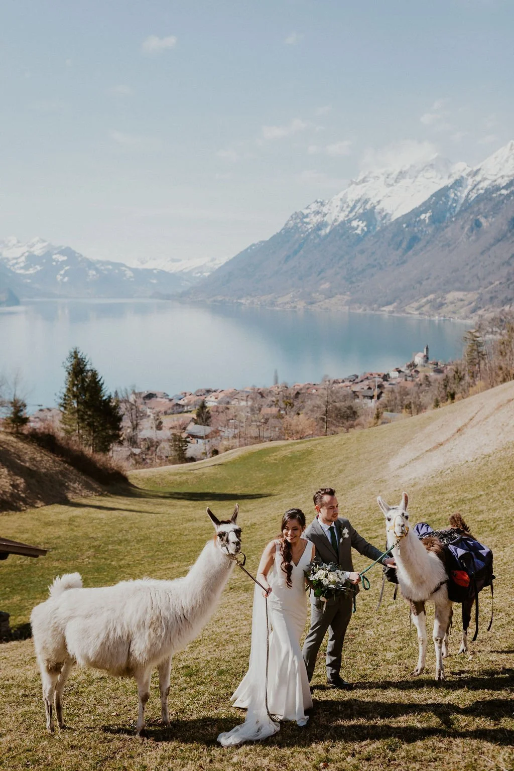 A bride and groom holding llamas on a lush green hillside with a lake and snow-capped mountains in the background.