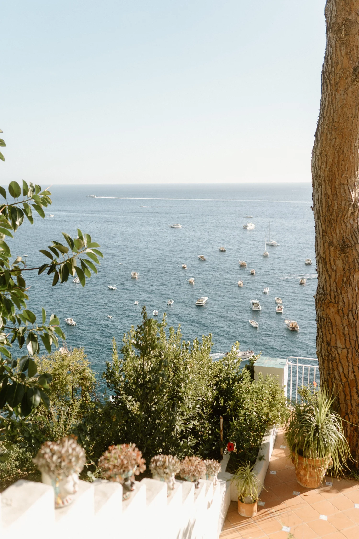 View of the ocean with boats on the water, seen from a balcony with potted plants and colorful flowers, and a tree trunk on the right side.