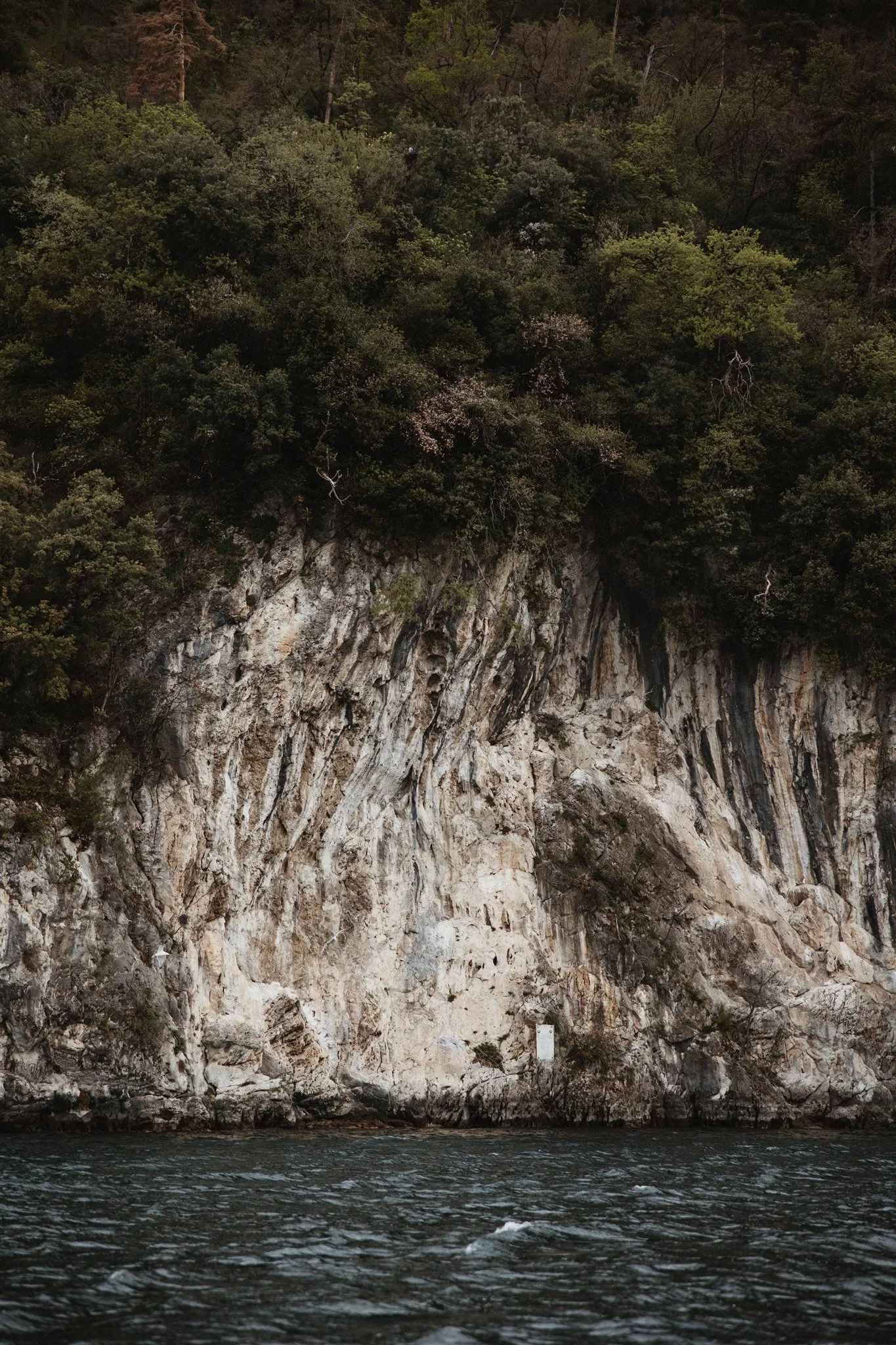 Cliffside with rocky face and dense forest at the top, overlooking water at the bottom.