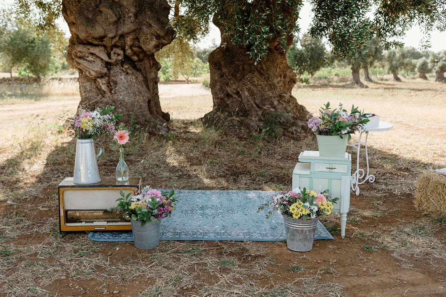 Outdoor scene featuring two large trees with a picnic setup including flower arrangements, vintage radio, and decorative furniture on a patterned rug, in a grassy area with a background of more trees.