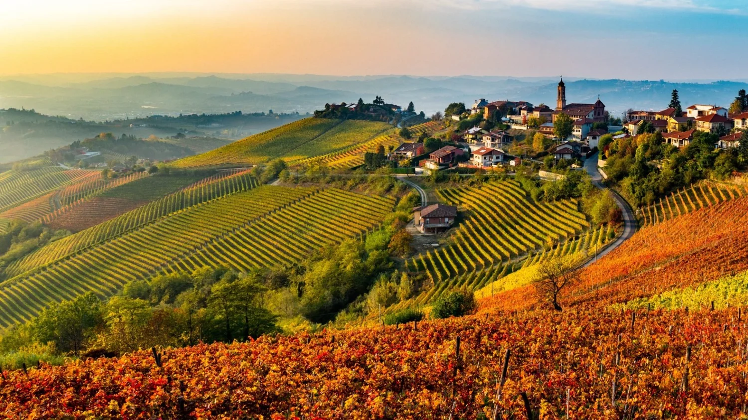 Scenic view of rolling vineyards with colorful foliage in autumn, a hilltop village with houses and a church in the background, under a sky with soft sunlight.