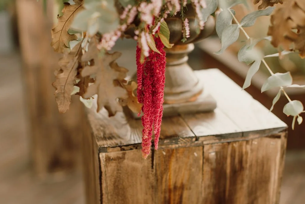 elopement-barcelona-intimate-ceremony5.jpg