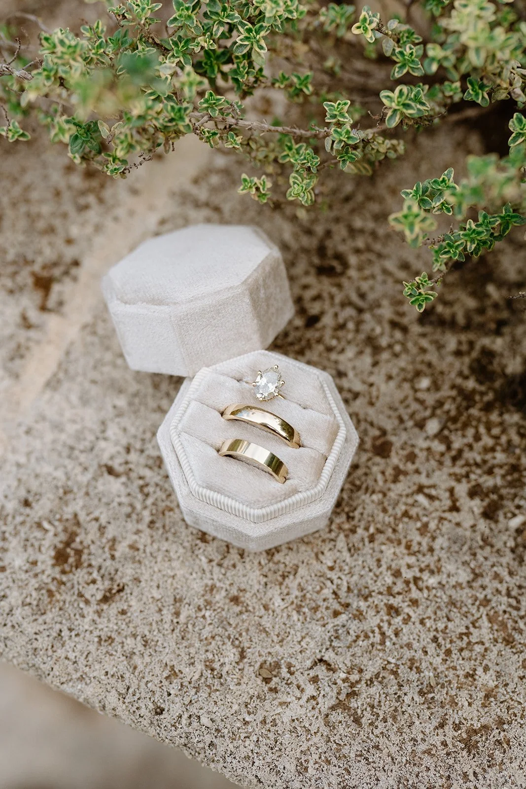 A jewelry box with two gold rings and a diamond engagement ring on a sandy surface, with green foliage in the background.