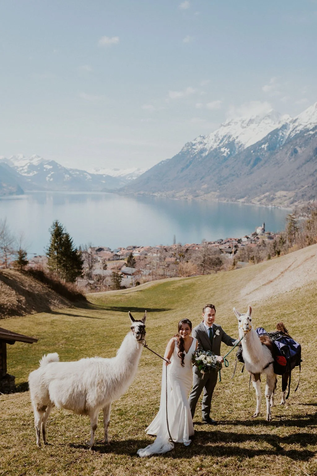 A couple in wedding attire standing outdoors on a green grassy hill, holding leashes attached to two llamas. The background features a large lake, with snow-capped mountains and a small village visible in the distance, under a partly cloudy sky.