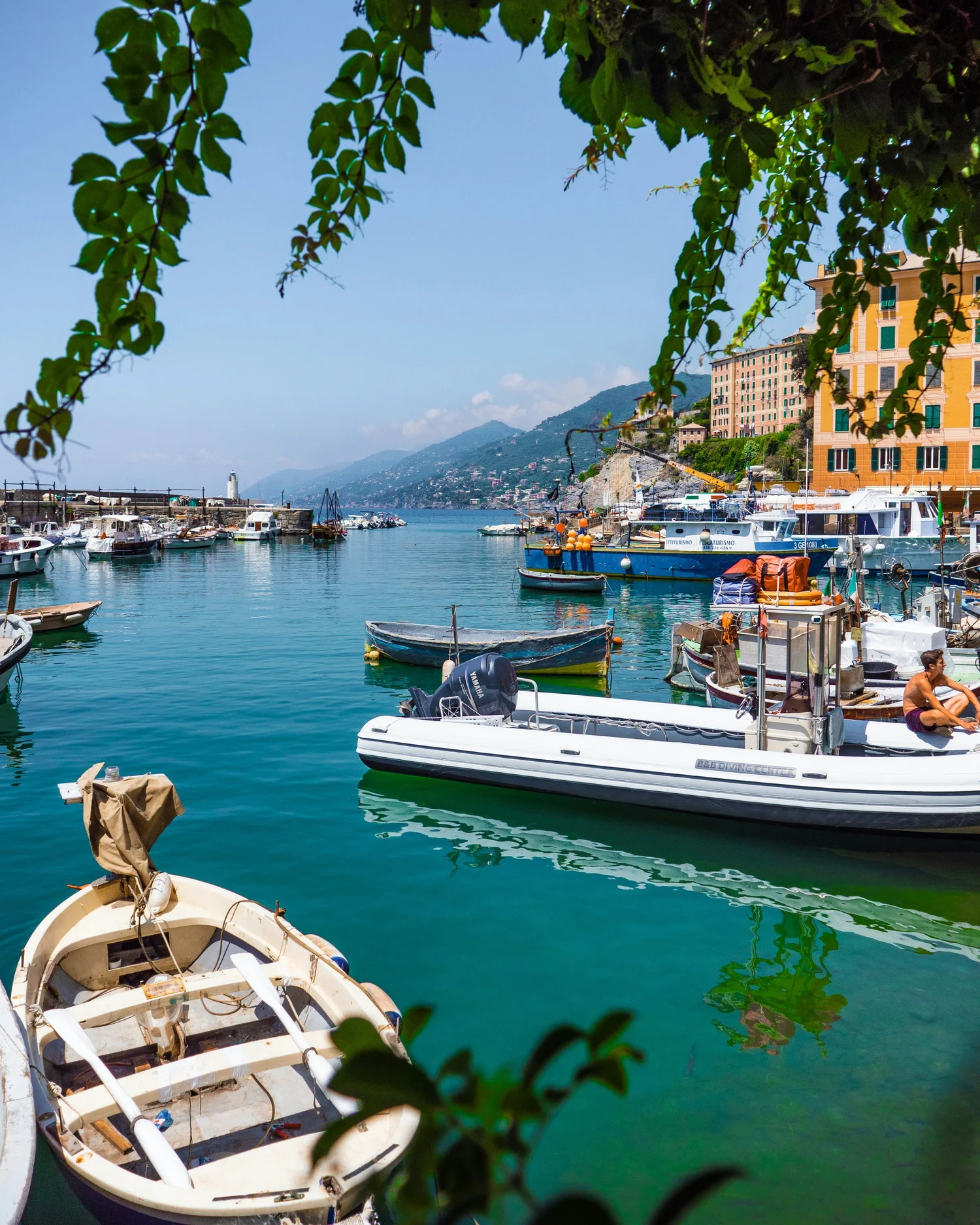 A marina with several boats docked on calm water, modern buildings on a hillside, and mountains in the background, viewed through tree leaves.