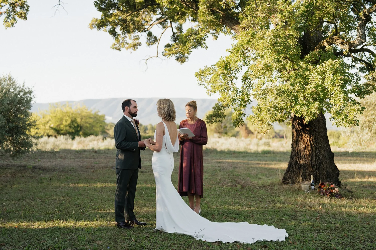 A wedding ceremony outdoors under a large tree with the bride and groom holding hands, the officiant standing behind them reading from a book, in a scenic landscape with mountains in the background, and a small bouquet and bottle of wine placed near