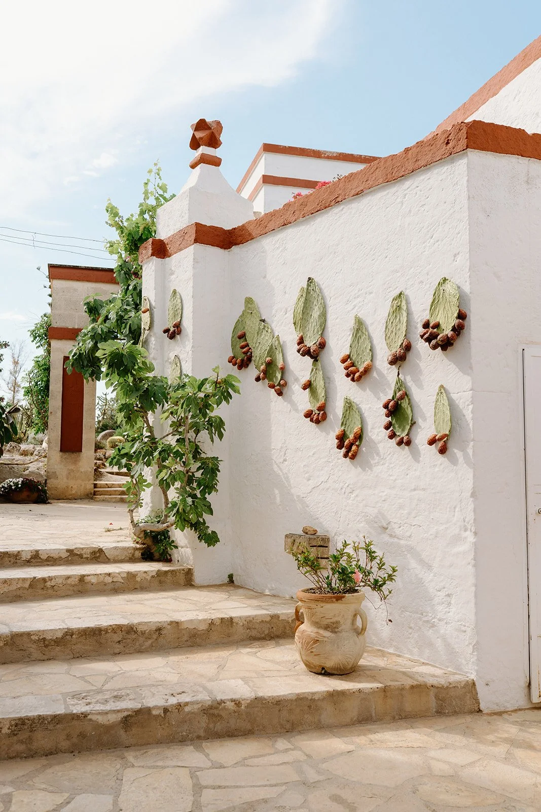 Decorative cactus-shaped wall art with nuts on a white stucco wall outside a building in a Mediterranean style.
