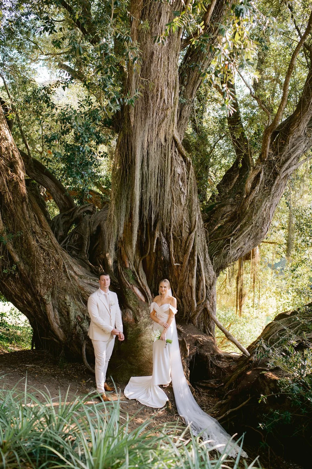 A bride and groom in wedding attire standing in front of a large, ancient tree in a lush forest.