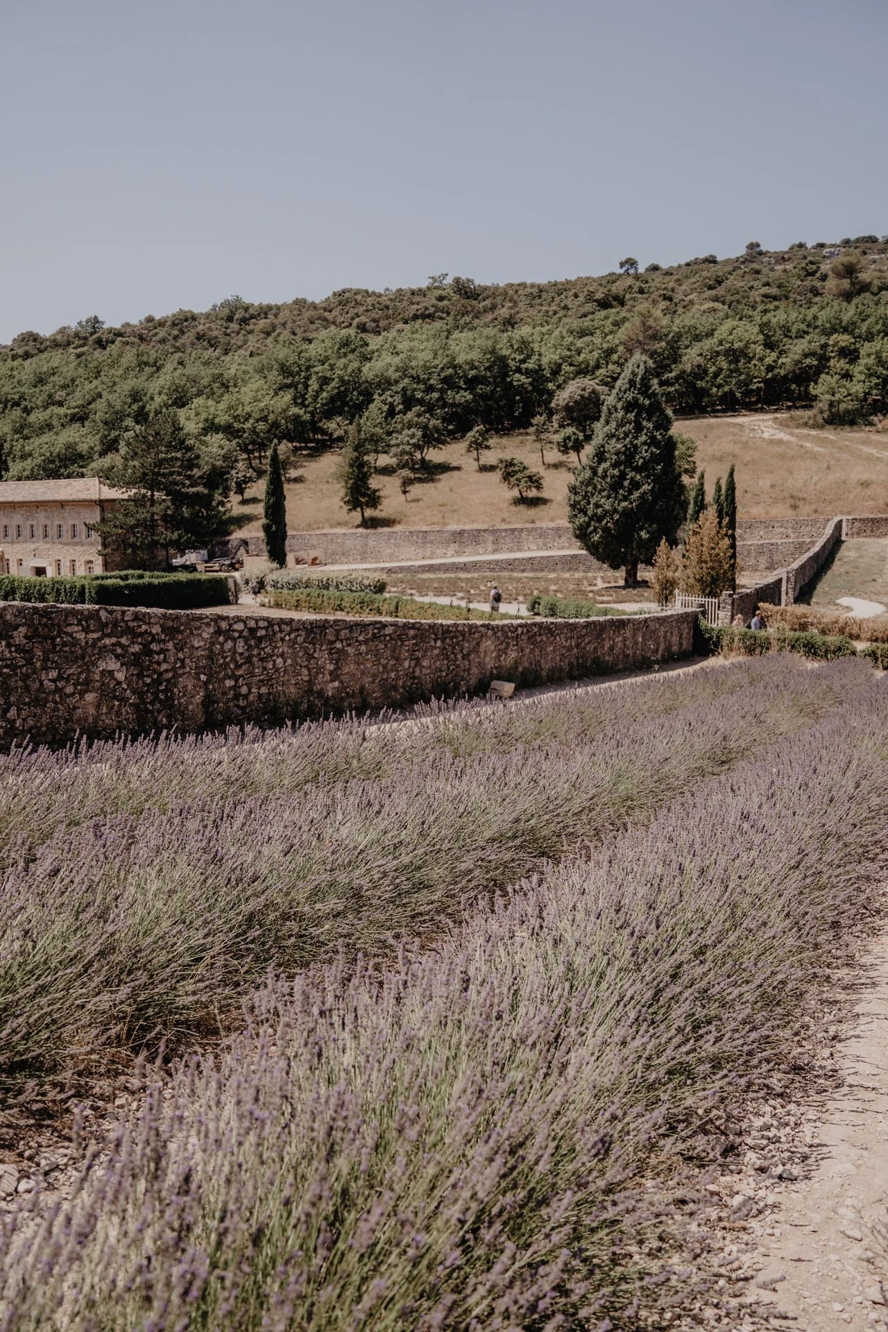 the-roots-provence-113.jpg