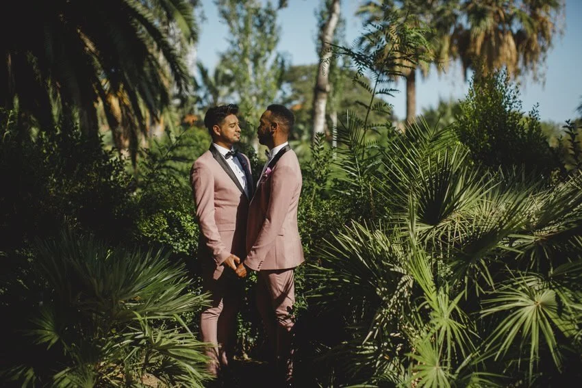 Two men in pink suits holding hands and facing each other in a lush, tropical garden with palm trees and greenery.