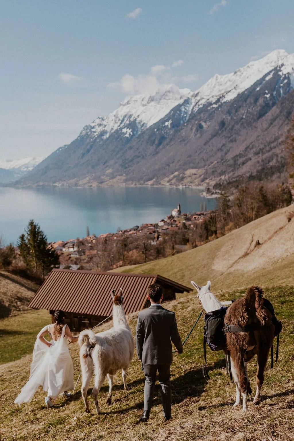 A couple in wedding attire walks with two llamas on a grassy hillside overlooking a lake and snow-capped mountains in the background.