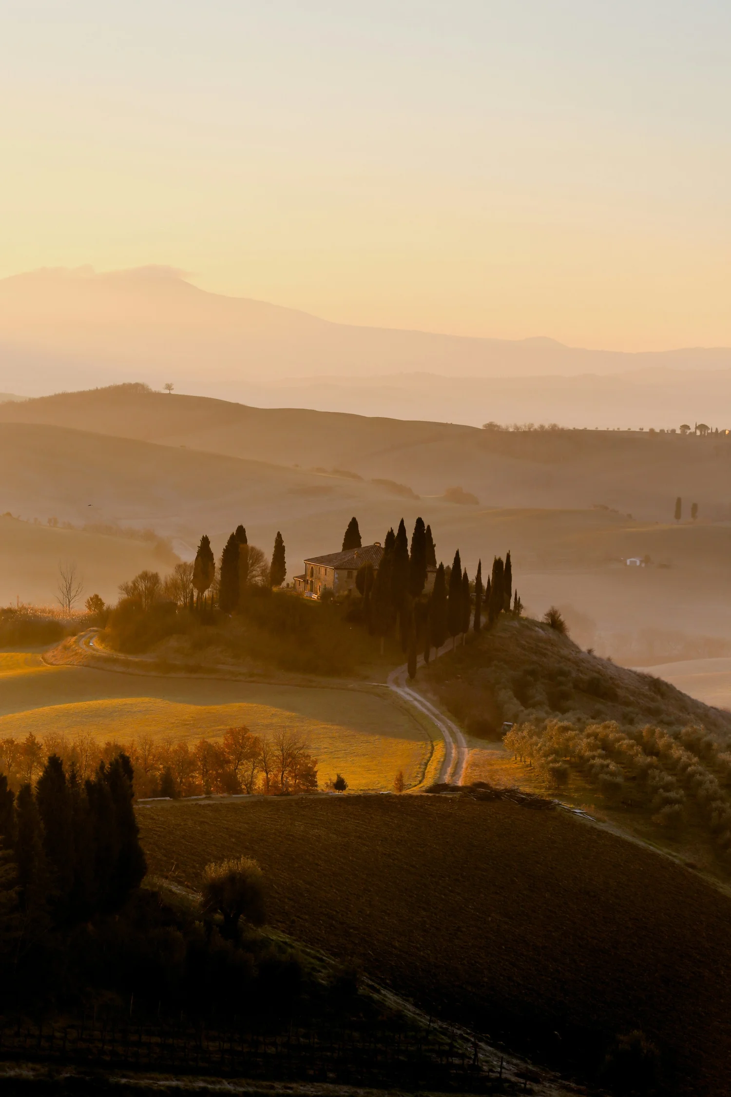 Sunset over hilly countryside with winding roads, a house, and rows of trees, in a rural area.