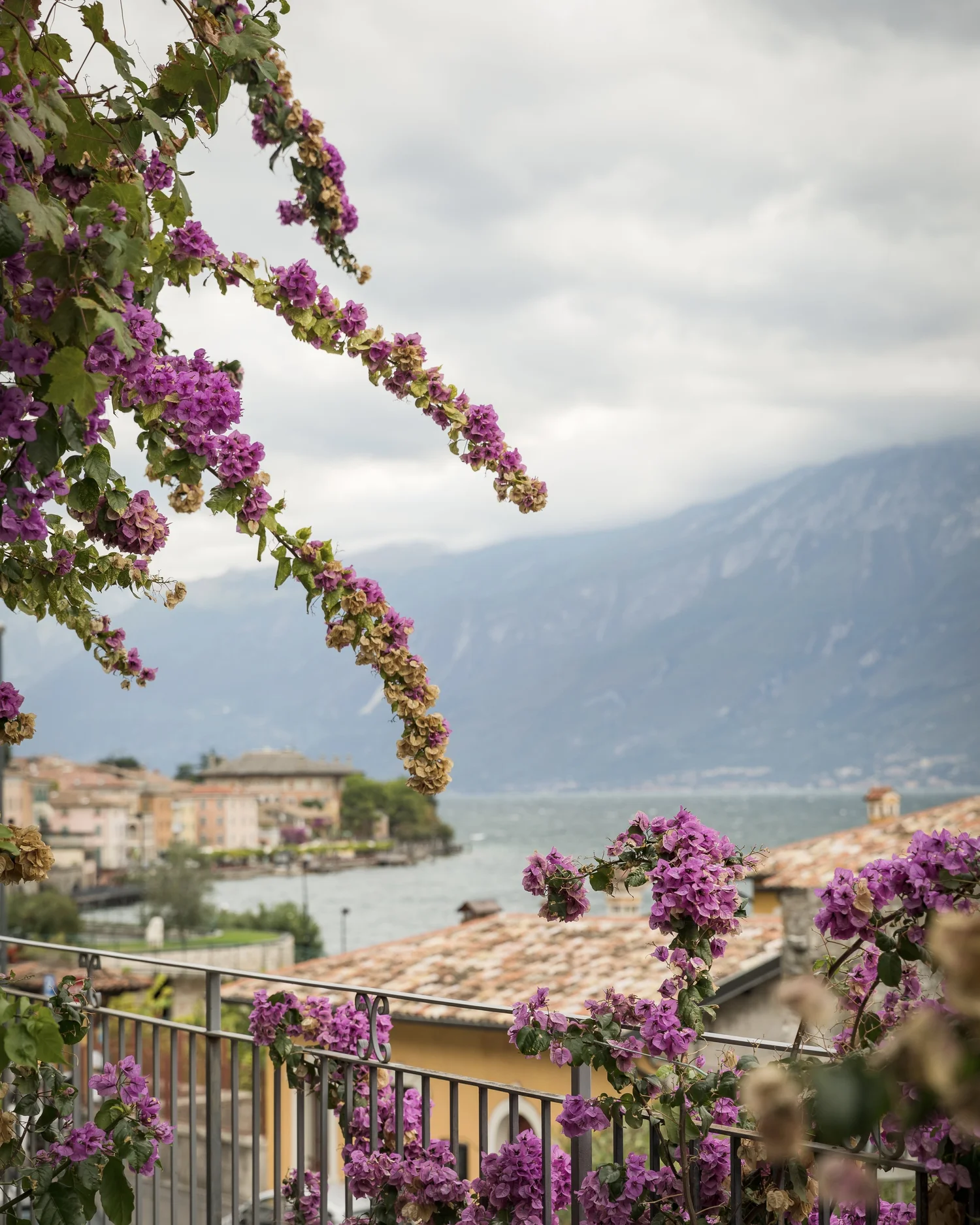 Pink and purple bougainvillea flowers climbing over a black metal balcony railing, overlooking houses with terracotta roofs, water, and mountains in the distance under a cloudy sky.
