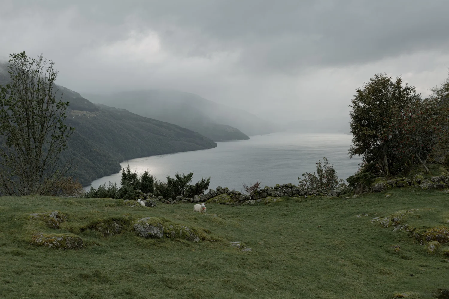 Tengesdal-2.jpg
