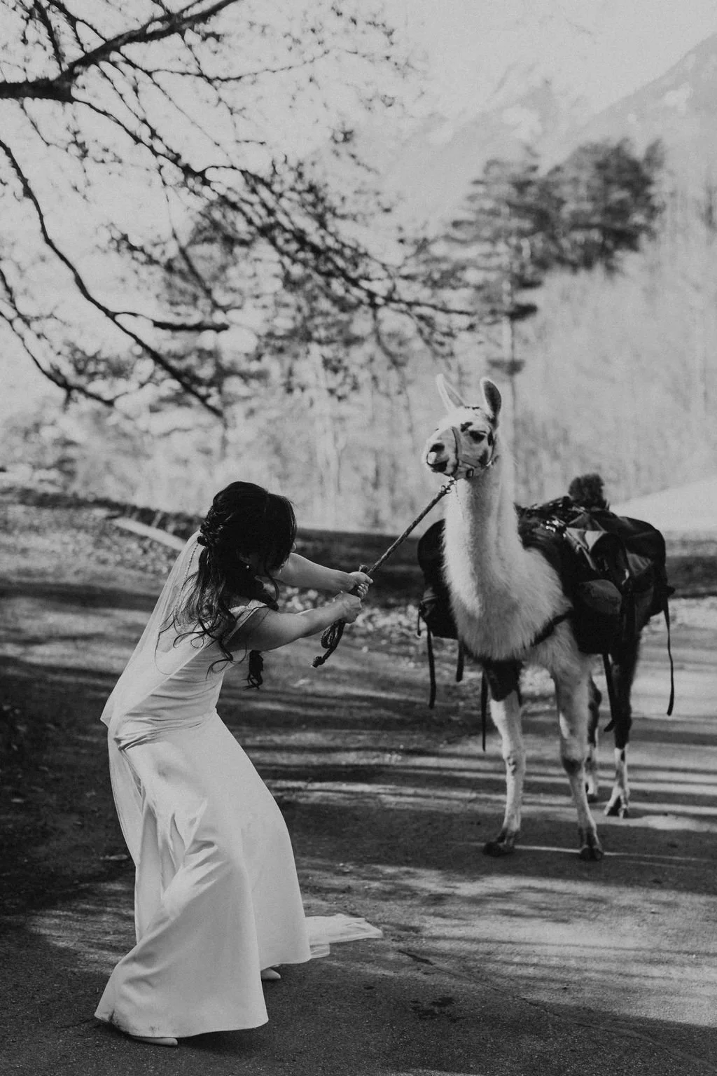 A woman in a long dress appears to be playing with a llama in a natural outdoor setting with trees in the background.