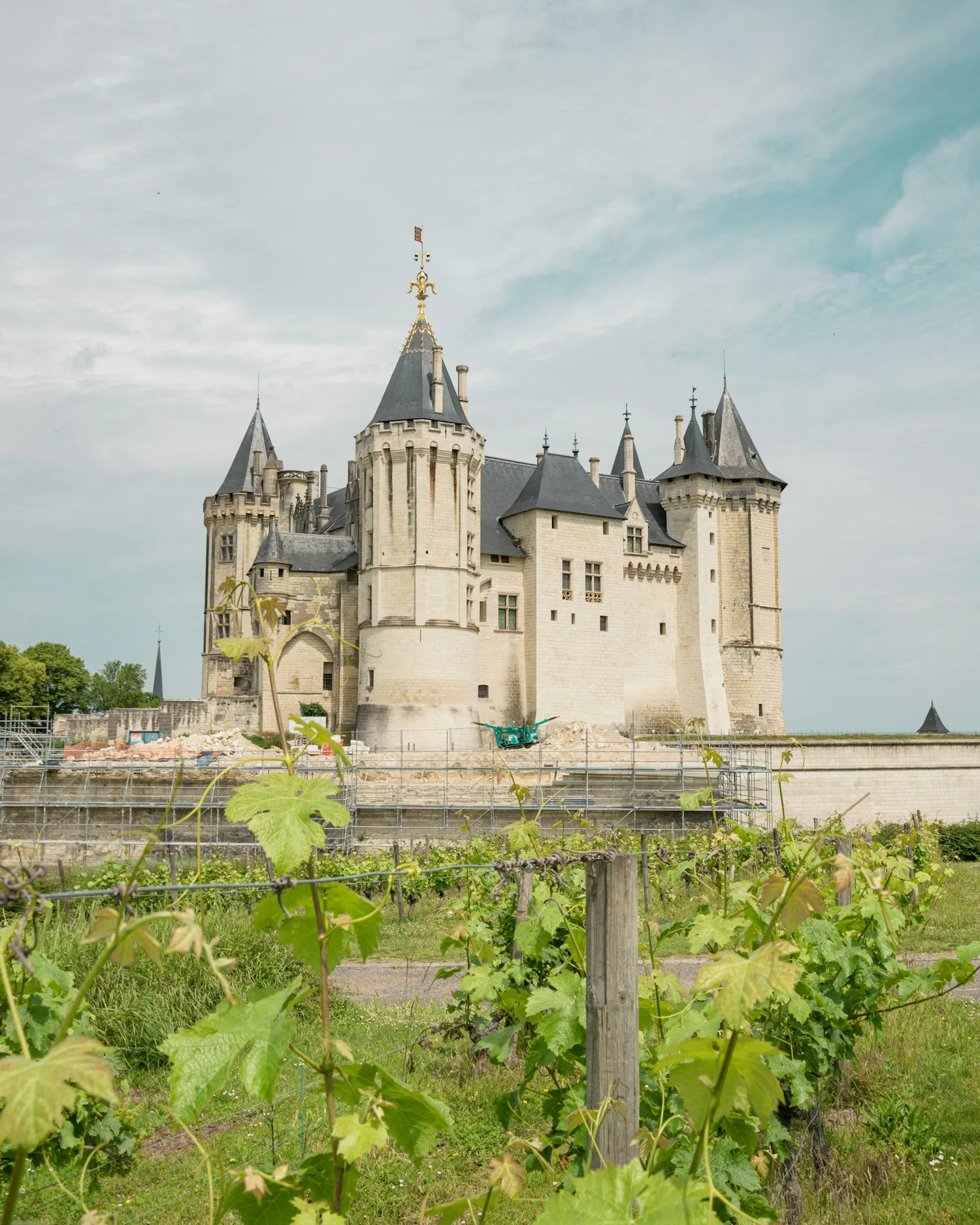 A historic castle with multiple towers and turrets, situated behind a vineyard with grapevines in the foreground under a cloudy sky.