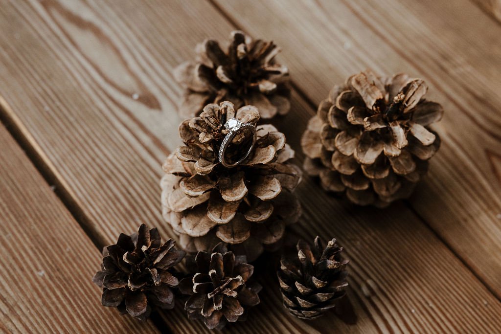 SilviaFalcomerphotography71.jpg