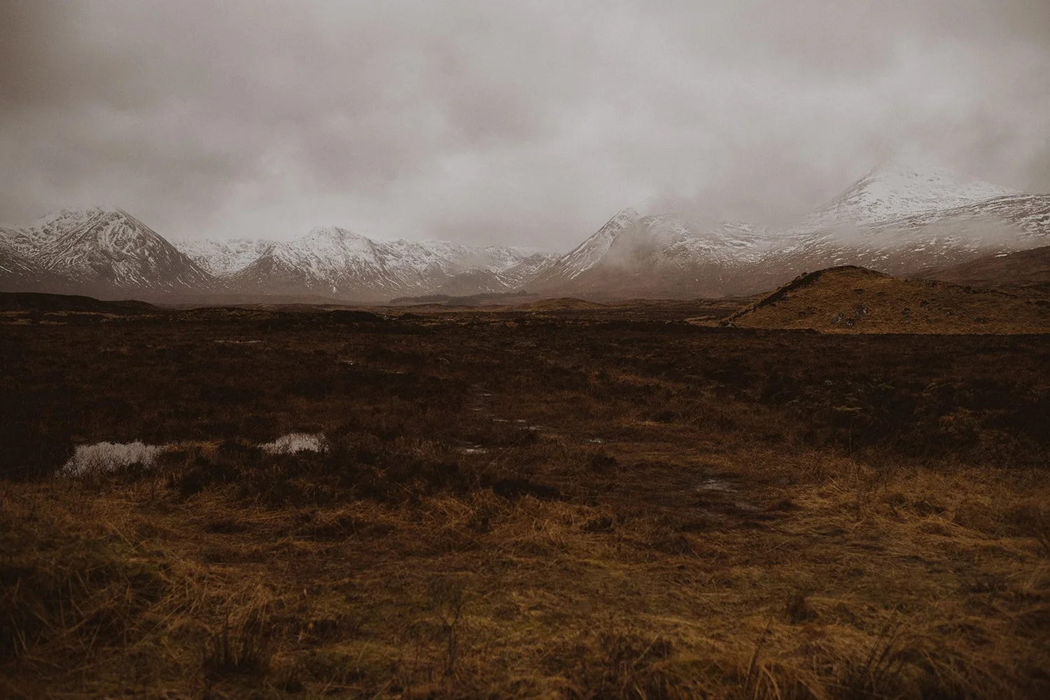 Joanna-Eliza-Danielle-Harriet-Ben-Glencoe-16 copy.jpg