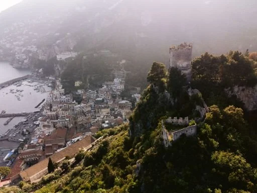 scziro-303.jpg