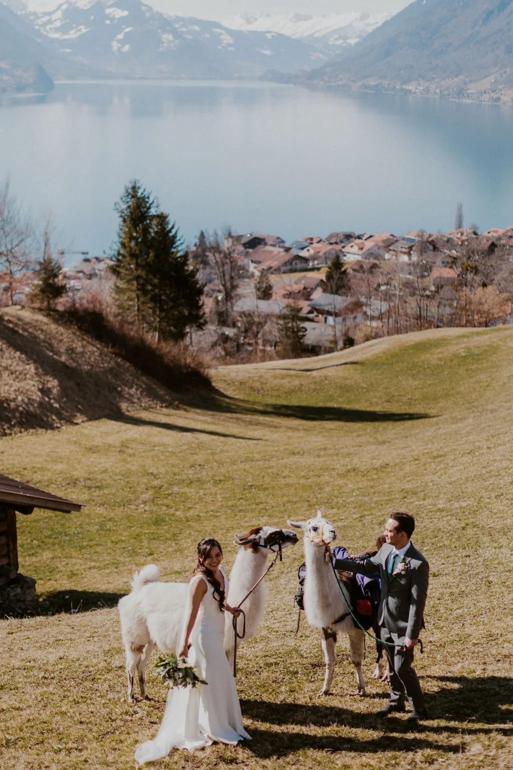 A bride and groom standing with two llamas in a grassy area, with a scenic lake and mountains in the background.