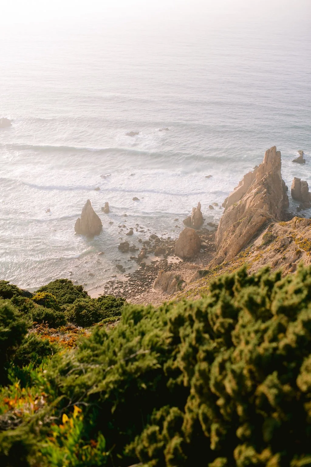 Cliffside view of a rocky coastline with large rocks in the ocean, green foliage in the foreground, and the sea extending to the horizon.