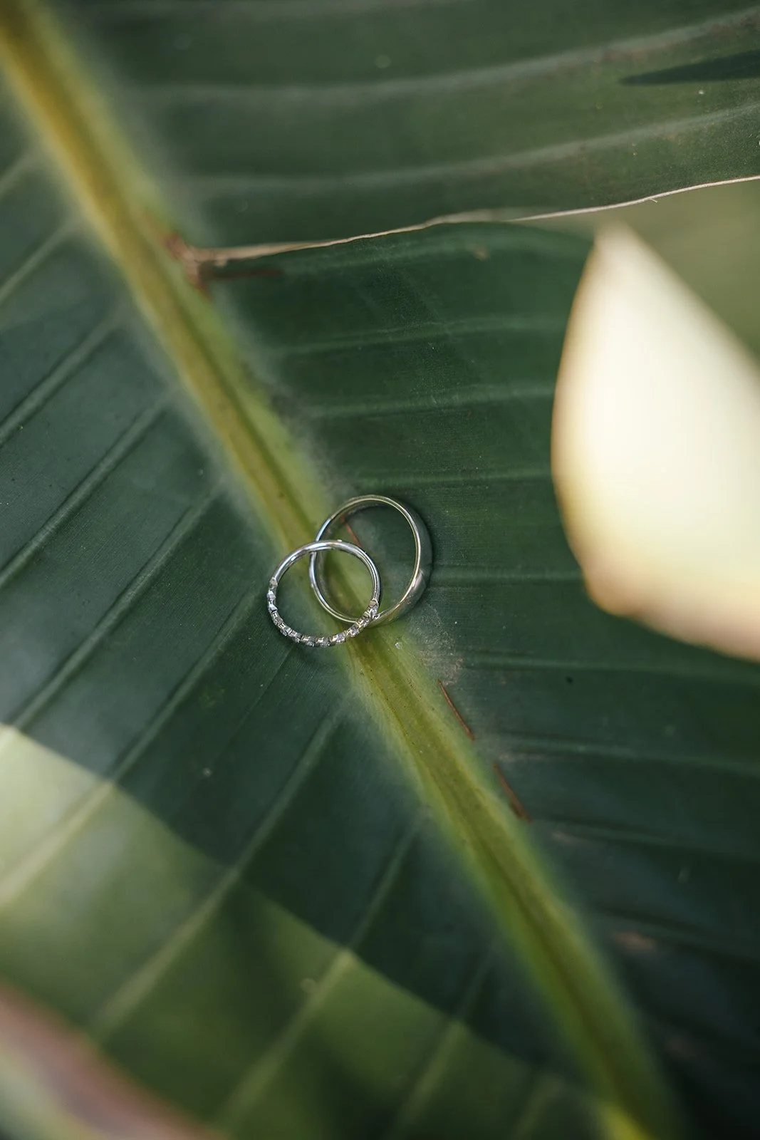 Elopement_Feifei_26Hao00003.jpg