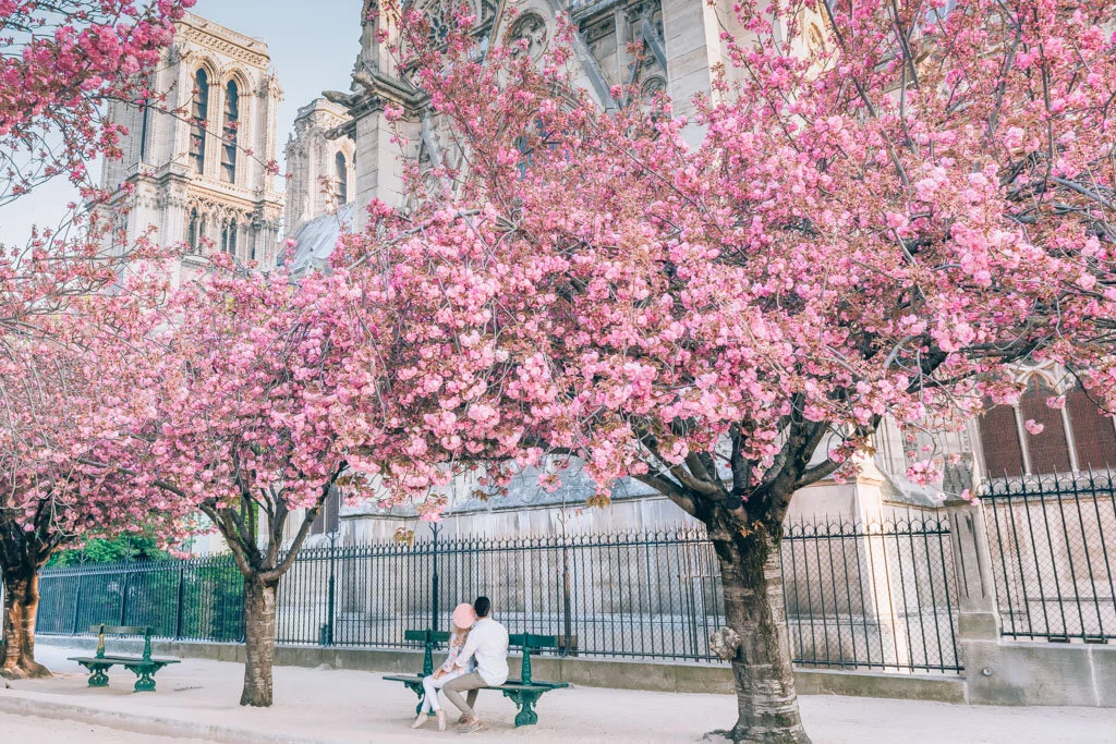 5 Tips to Plan Your Cherry Blossom Wedding Elopement in Paris