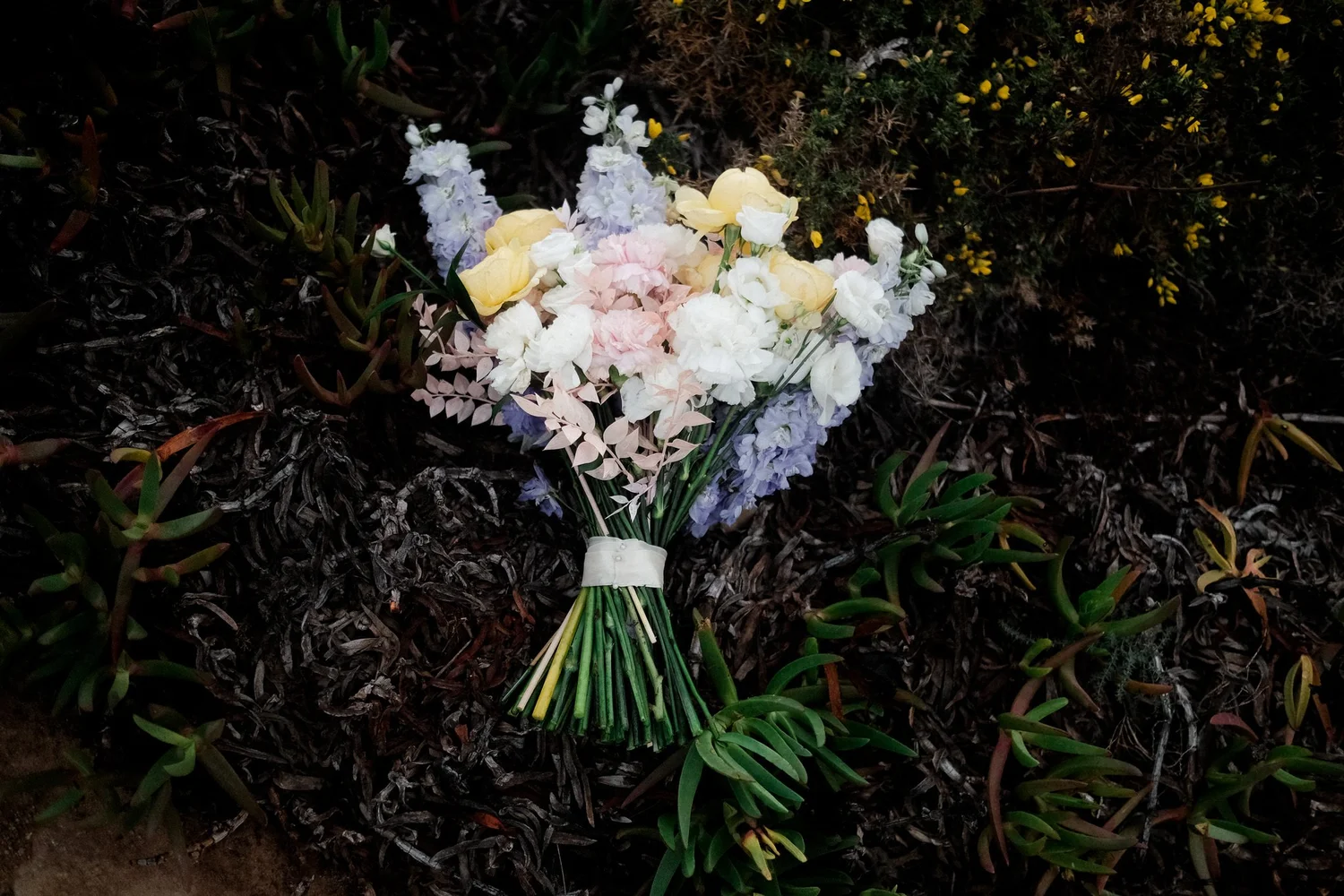 elopement-sidney-ian-0280.jpg