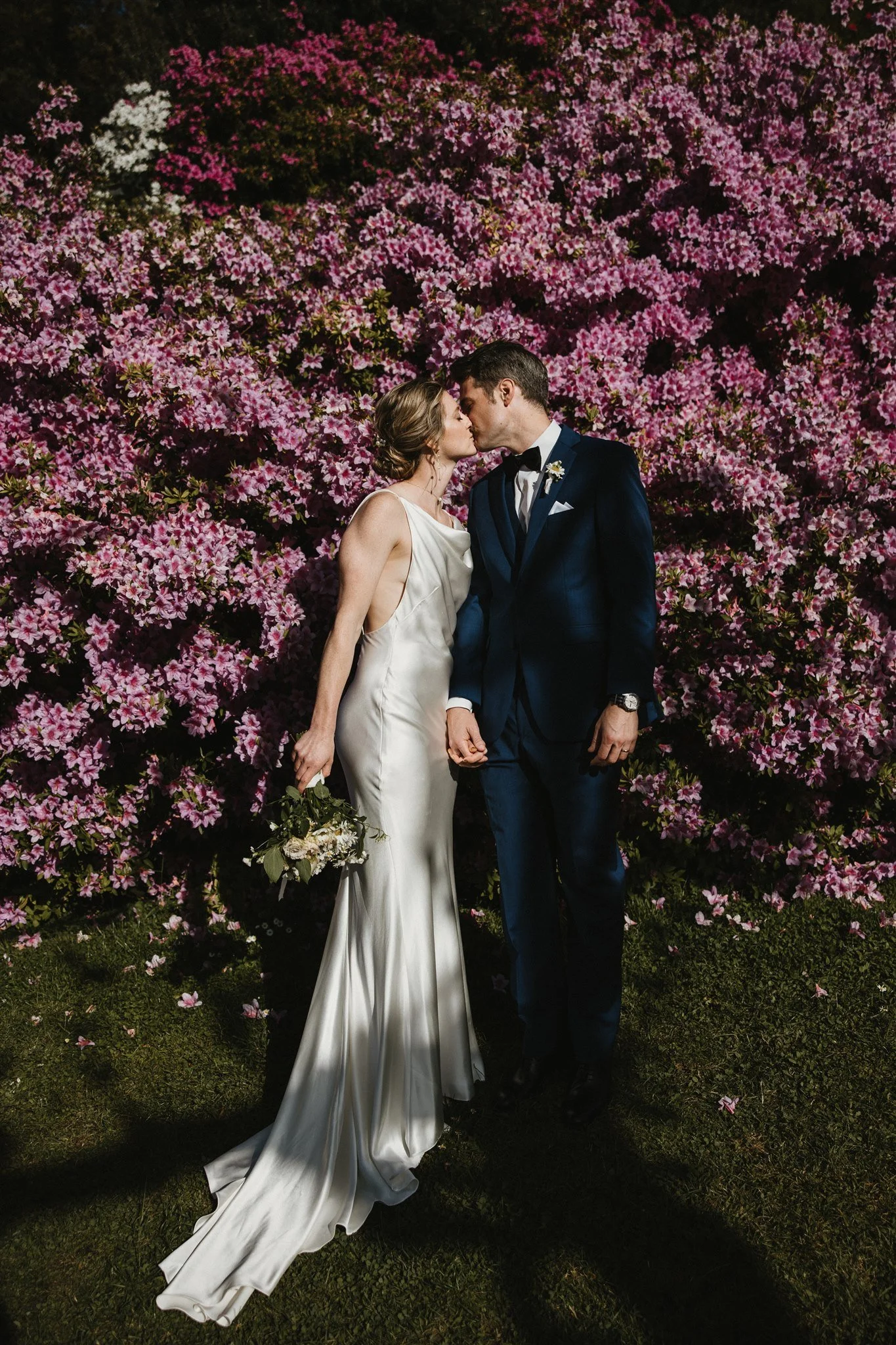 A bride and groom sharing a kiss in front of a large pink flowering bush during their wedding. The bride wears a white satin gown and holds a bouquet, while the groom wears a dark blue tuxedo with a boutonniere.