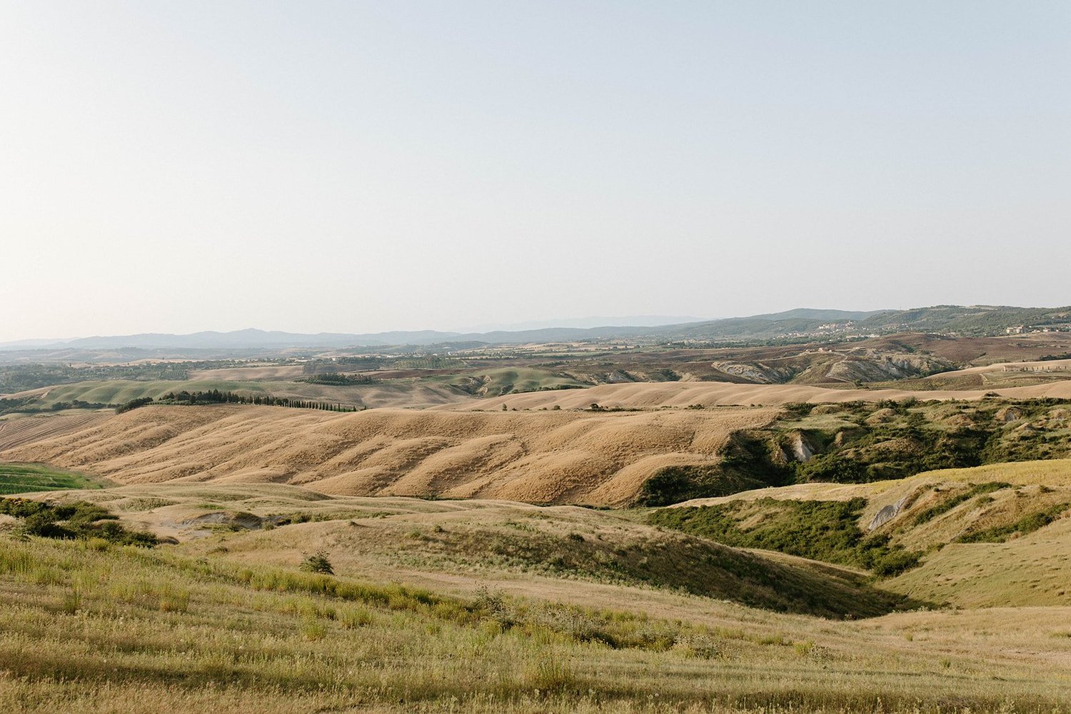PAULARLYN_0305.jpg